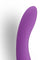 Zizo Innie Vibe - Purple PICO-6970