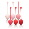 Kegel Training Set Strawberry SE1290203