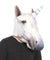 Foam Unicorn Mask LA-2161