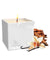 Afterglow Massage Candle - Vanilla Sandalwood JJ-11737
