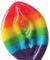 Rainbow Pussy Pop HTP3215