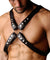 Strict Leather 4 Strap Chest Harness - Small /  Medium STR-ST590-SM