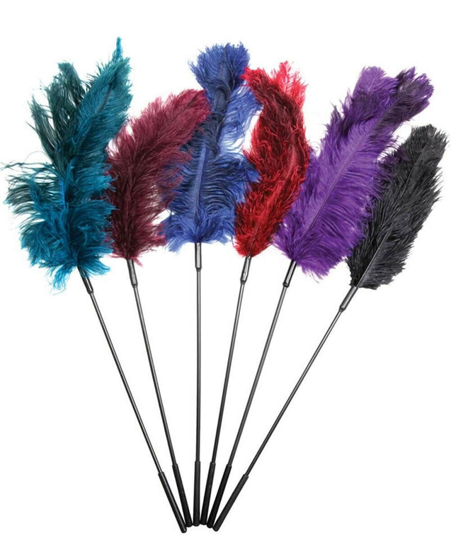 Sex and Mischief Assorted Feather Ticklers - 18 Pieces Display SS100-69