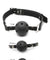 Fetish Fantasy Series Ball Gag Training System PD3841-00