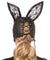 Faux Leather Bunny Mask With Lace Ears - Black LA-3745