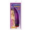 Jelly Caribbean #5 - Purple Calypso GT220-5