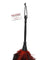 Frisky Feather Duster - Red PD3756-15