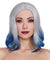Shoulder Lenth Wig With Bangs and Bottom Curl Silver and Blue DG-11687MLT
