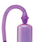 Pump Worx Beginners Power Pump - Purple PD3260-12
