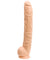 Dick Rambone Cock - 17 Inch - White - Bulk DJ0268-00-BU