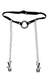 Fetish Fantasy Series Ltd. Ed. O-Ring Gag & Nipple Clamps PD4419-23